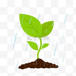 手绘雨水绿植插画