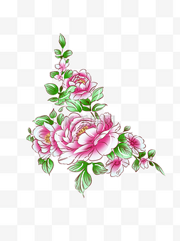 粉红牡丹图片_植物粉红色牡丹花