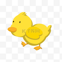 手绘黄色的鸭子插画