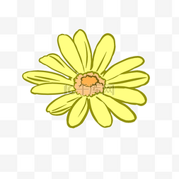 黄色清新树叶图片_黄色花花朵