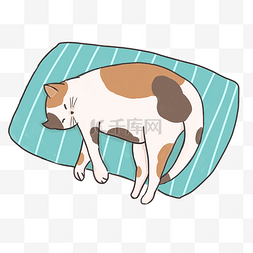 世界睡眠日睡觉小猫花猫