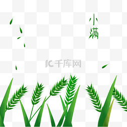 手绘二十四节气图片_小满节气中国风纯手绘麦子