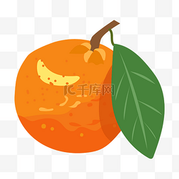 手绘春季水果橘子