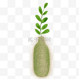 绿色植物花瓶图片_花瓶里的绿色植物