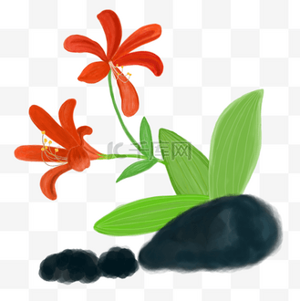 中国风水彩水墨植物石蒜彼岸花手绘免抠高清图
