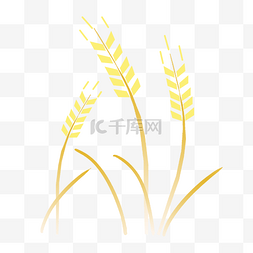 黄色麦穗图案插图