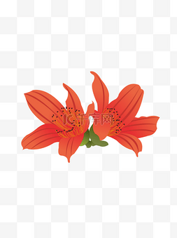 手绘植物花素材图片_手绘木棉花元素之卡通红色植物花
