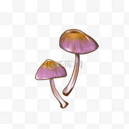 毒蘑菇手绘图片_手绘紫色蘑菇