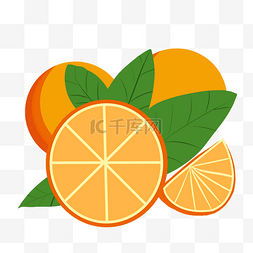 手绘切开的橙子插画
