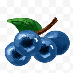 油画风格两只蓝莓水果