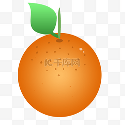 橘黄图片_桔子橘子水果