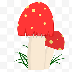 蔬菜菇类图片_种植蘑菇野生