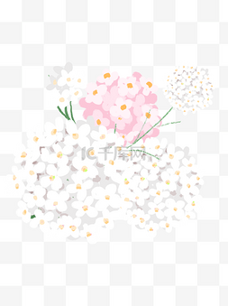 白色小清新花朵图片_植物小花小清新唯美小花百花粉色