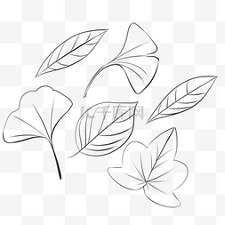手绘线条画植物图片_手绘简约画树叶叶脉