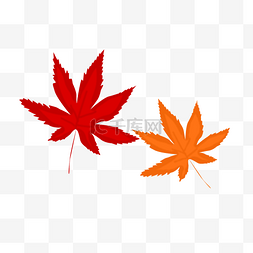 手绘红色植物图片_秋天秋季枫叶树叶红叶手绘立秋节
