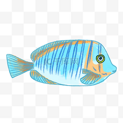 浅蓝色的海洋图片_浅蓝色的热带鱼插画