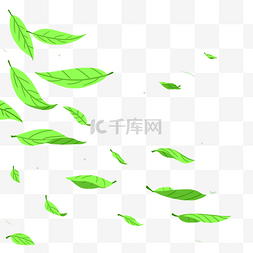 飘落的绿色树叶