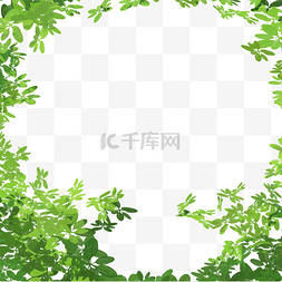 植物树叶纹理图片_植物树叶边框