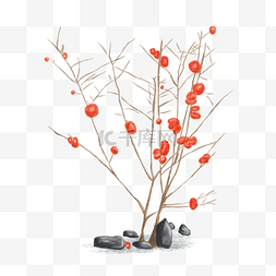 手绘秋天红栆果树