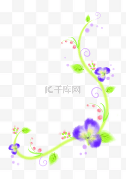  紫色花朵花藤 