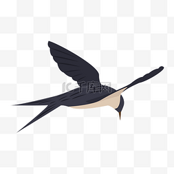 杏林春燕图片_手绘飞翔的燕子插画