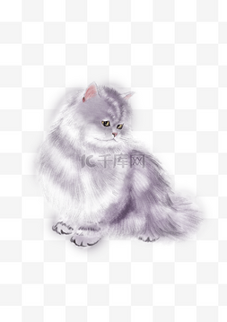 保护动物素材图图片_波斯猫灰紫色水墨国画工笔平面设