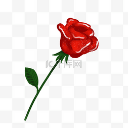 手绘单枝红玫瑰插画
