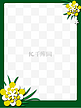 绿色装饰边框黄色花朵白色花瓣绿草