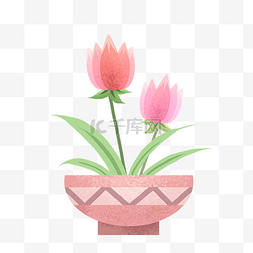 粉色植物盆栽图片_粉色的鲜花盆栽手绘插画