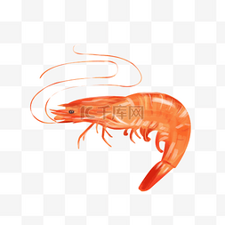 美味龙虾素材库图片_红色的长须河虾插画