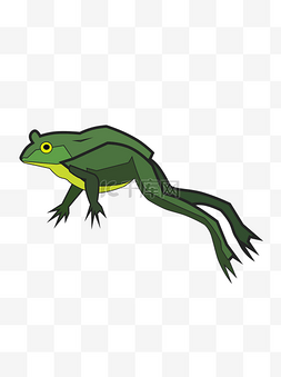 墨绿色青蛙图片_手绘一只跳起的青蛙可商用元素