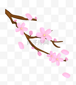 粉色桃花花枝插画