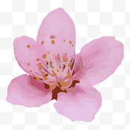 粉红色油墨花朵免抠图