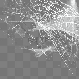 蜘蛛网1图片_古堡恐怖蜘蛛网特效设计