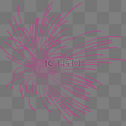 ai烟花素材免扣图片_紫色烟花免扣PNG素材