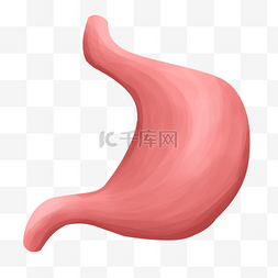 内脏图标图片_卡通人体器官胃插画