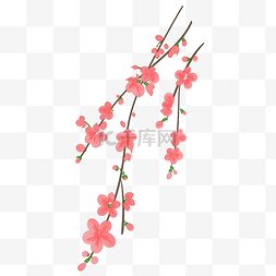 粉红色樱花插画图