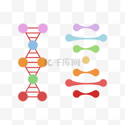双螺旋链图片_可爱清新基因链矢量图