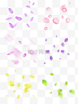粉紫色花瓣图片_漂浮的花瓣套图五彩斑斓的花瓣飘