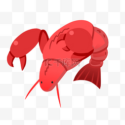 矢量手绘虾图片_手绘海洋动物海虾插画