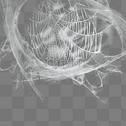 蜘蛛网网子蜘蛛网元素