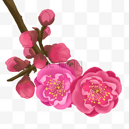 植物花类桃花装饰盛开