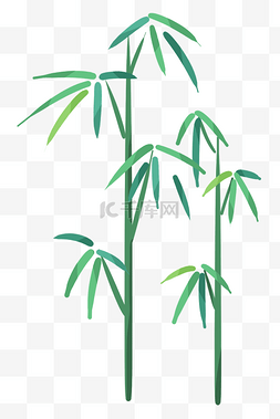 绿色叶子竹子植物绿植