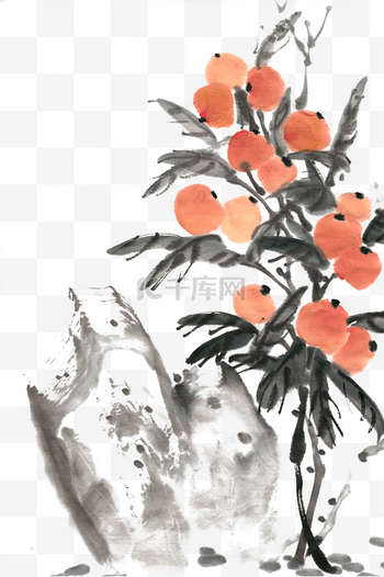 水墨画枇杷图片-水墨画枇杷图片素材免费下载-千库网