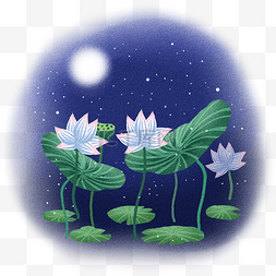 小清新的花瓣图片_夜晚星空月光下的荷花荷叶
