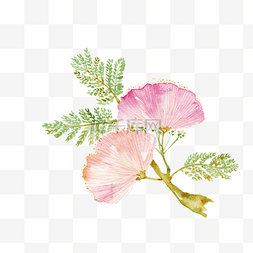 水墨海报插画图片_中国古风手绘水彩植物花朵插画