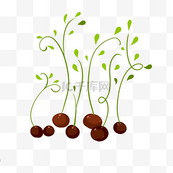 土壤豆子图片_豆芽绿色新鲜发芽可爱种子