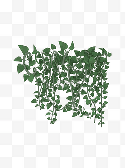 简约扁平卡通绿萝藤蔓植物元素