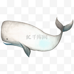 手绘蓝色大海图片_手绘海洋世界鲸鱼插画