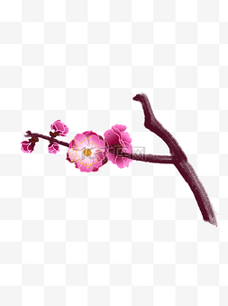 手绘中国风紫红色梅花花苞